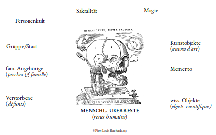 Ein Schädel ist umgeben von den im Text aufgeführten Kategorien.